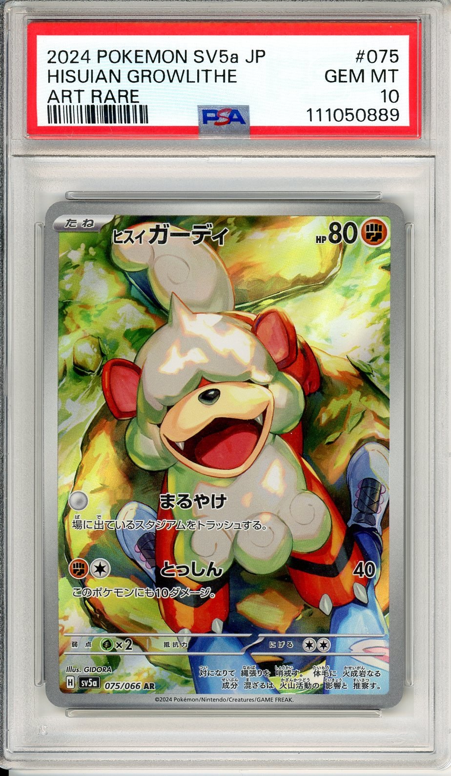 PSA 10 Hisuian Growlithe 075/066 - Crimson Haze