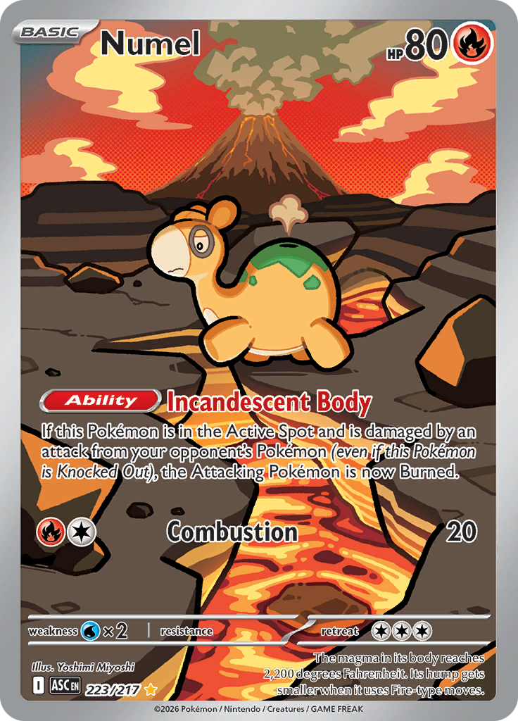 Numel - #223/217 - Pokémon Mega Evolution - Ascended Heroes