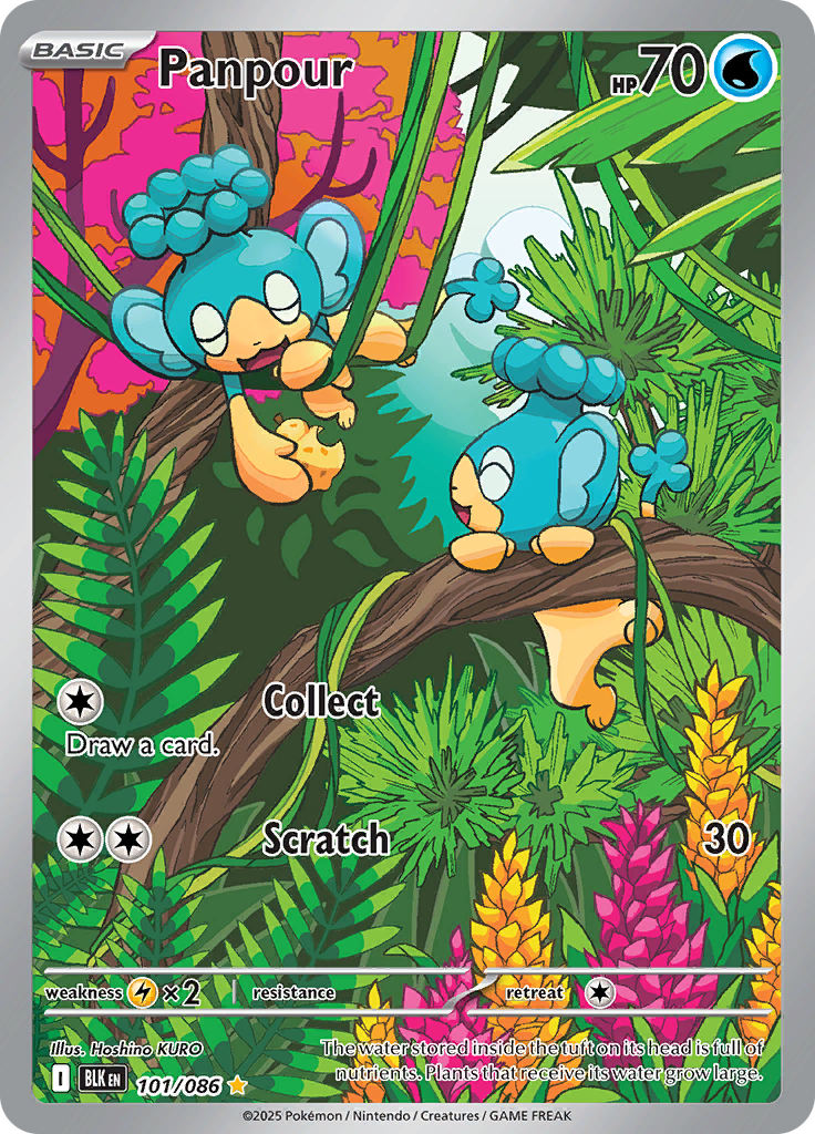 Panpour - #101/086 - Pokémon Scarlet & Violet - Black Bolt