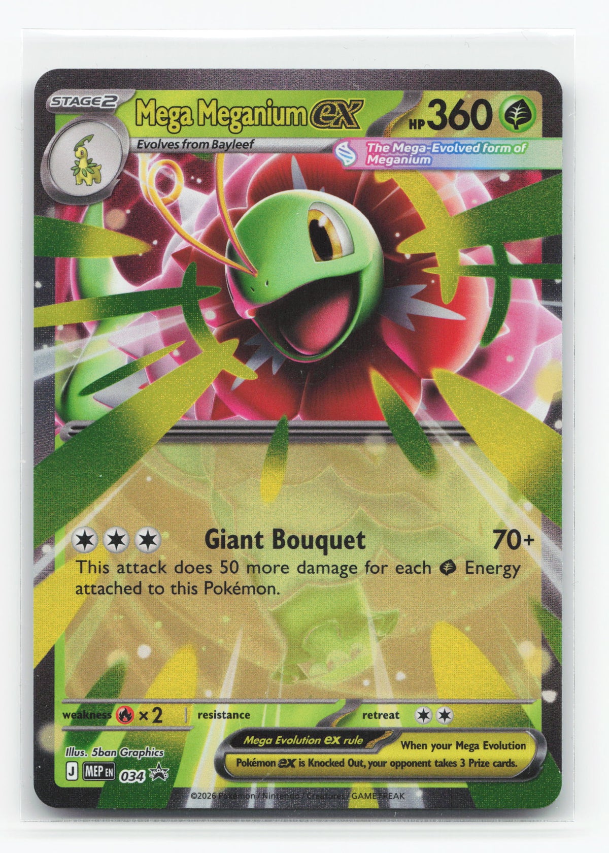 Mega Meganium ex 034 - Mega Evolution Black Star Promos