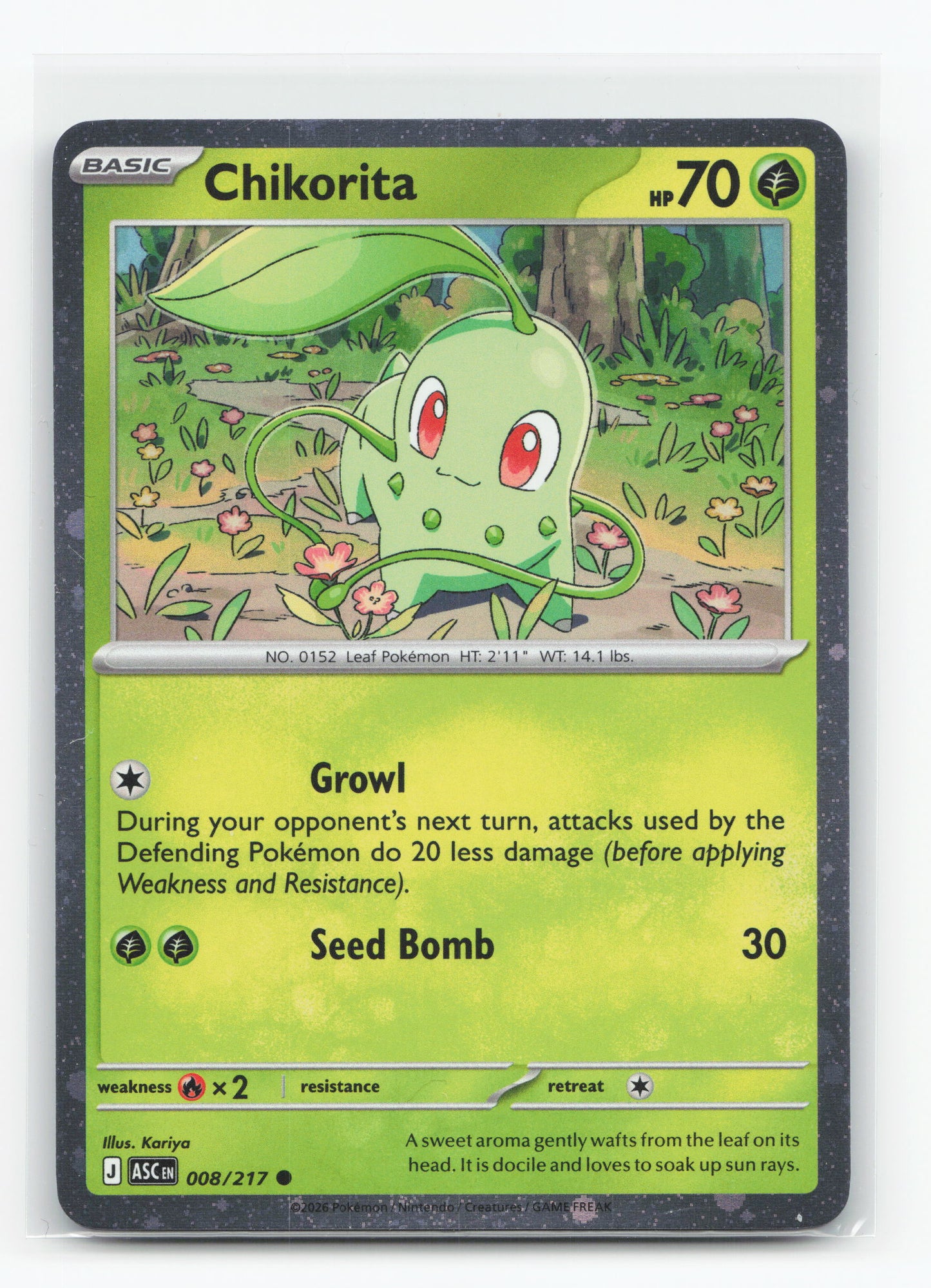 Chikorita 008/217 - Ascended Heroes