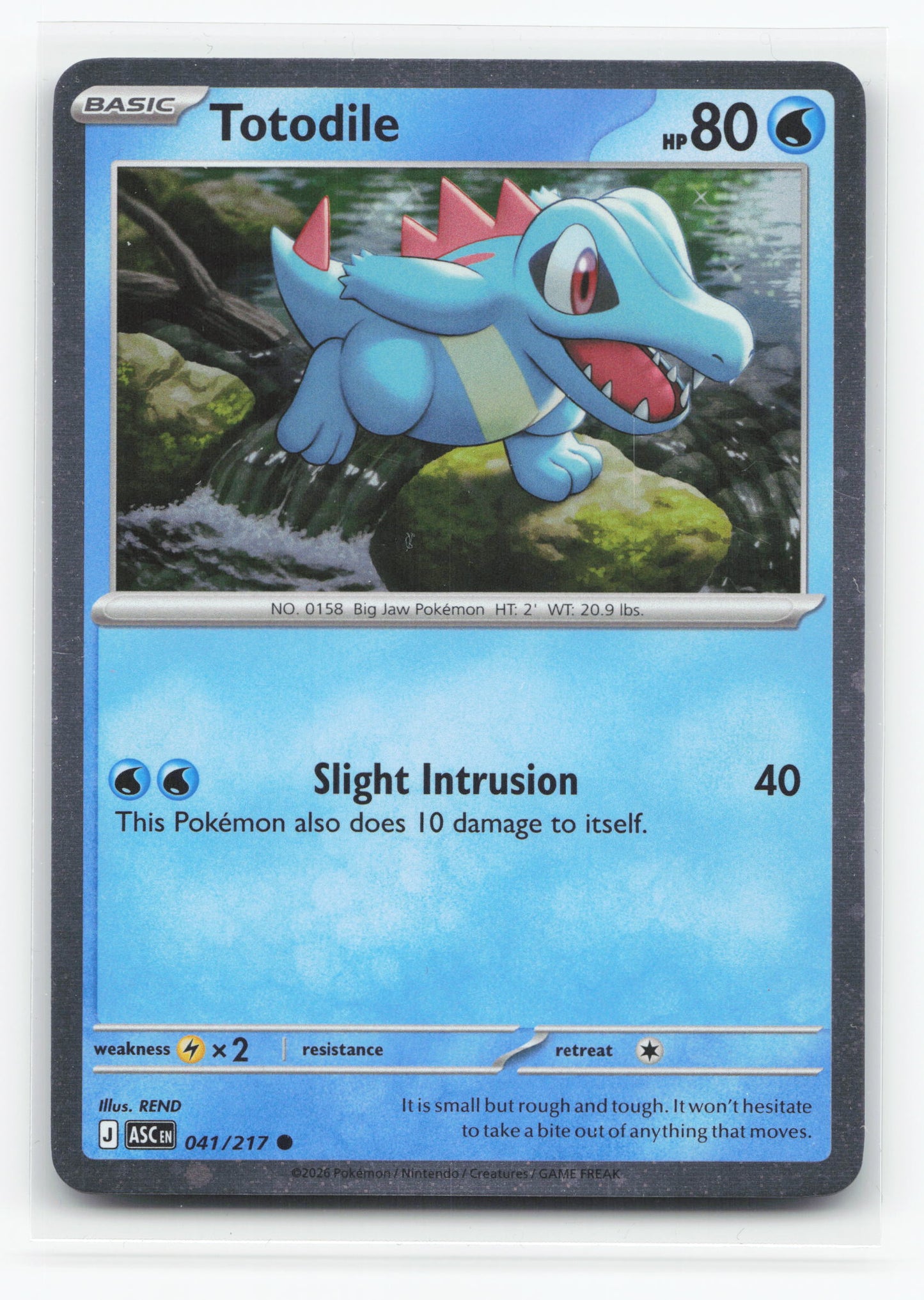 Totodile 041/217 - Ascended Heroes