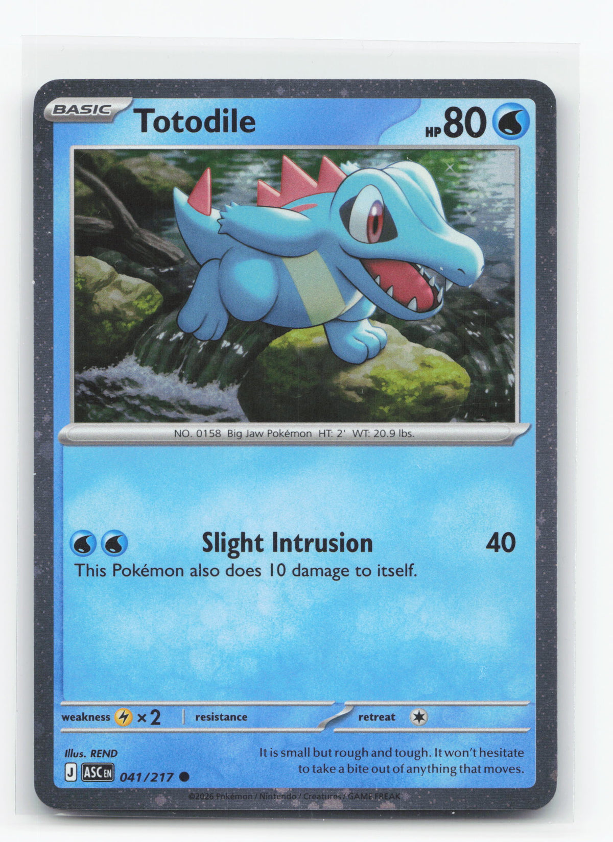 Totodile 041/217 - Ascended Heroes