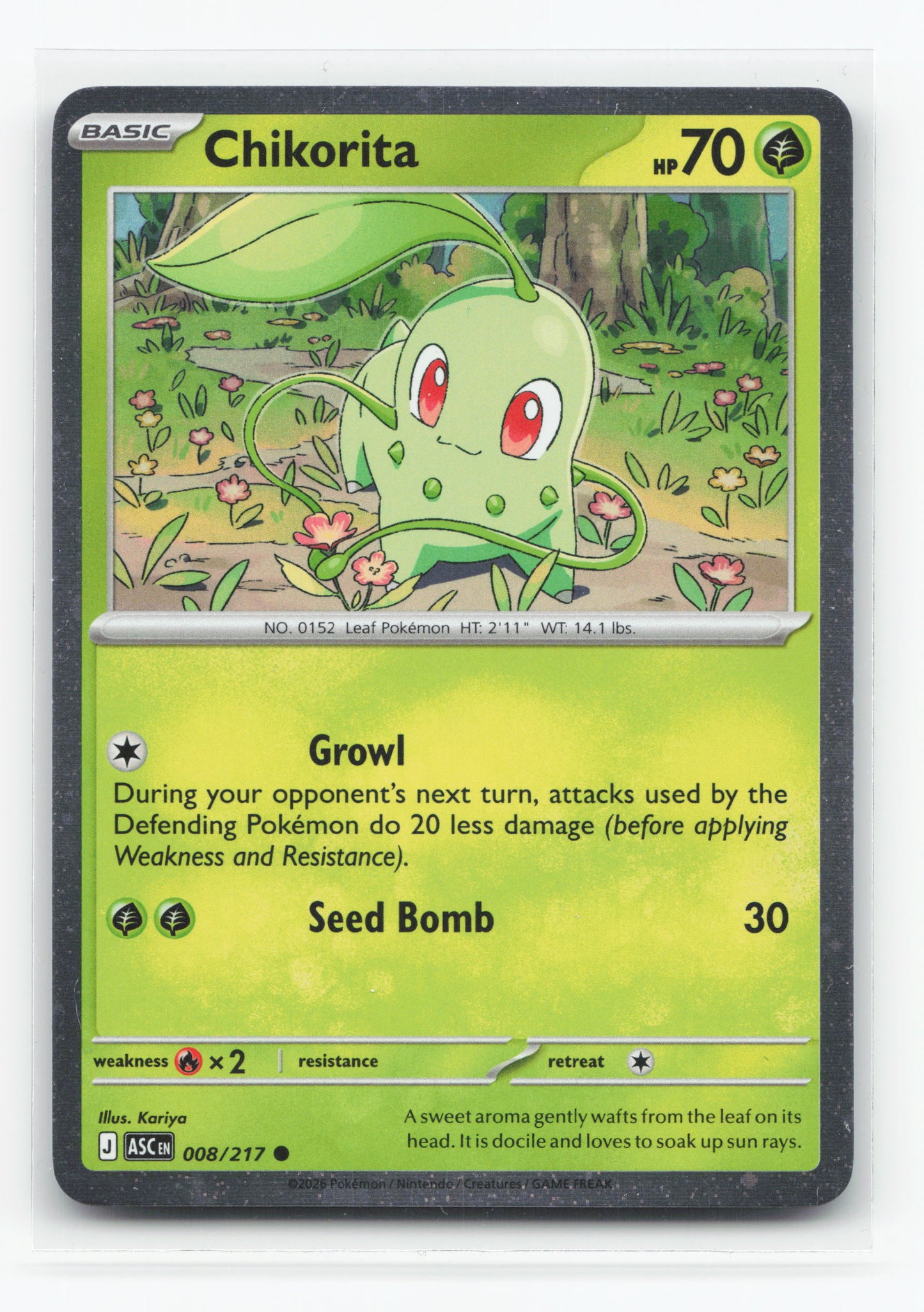 Chikorita 008/217 - Ascended Heroes