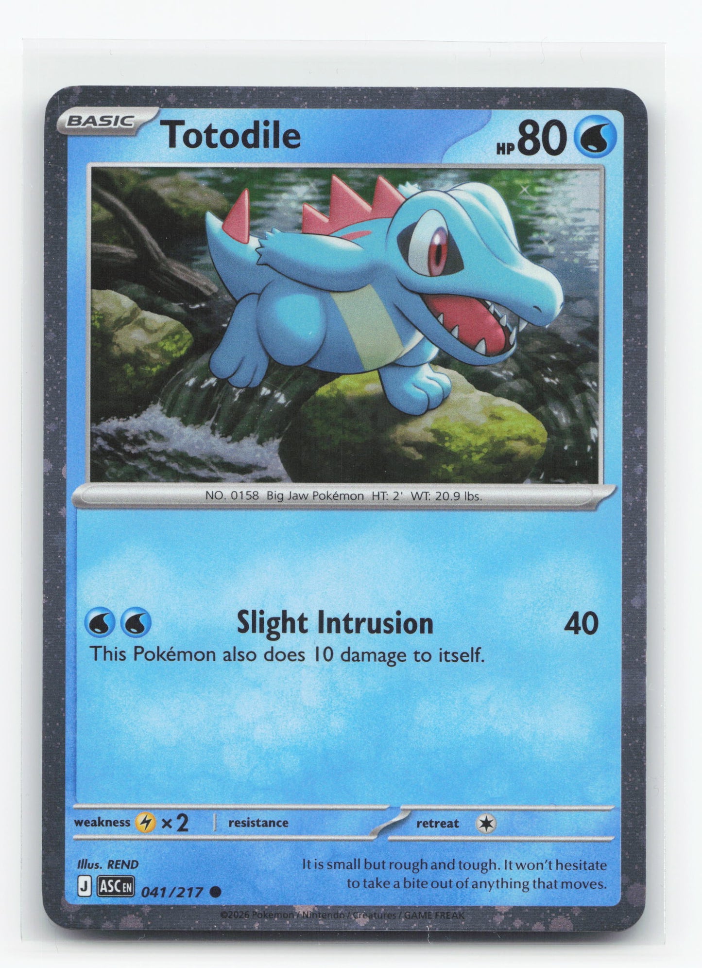 Totodile 041/217 - Ascended Heroes
