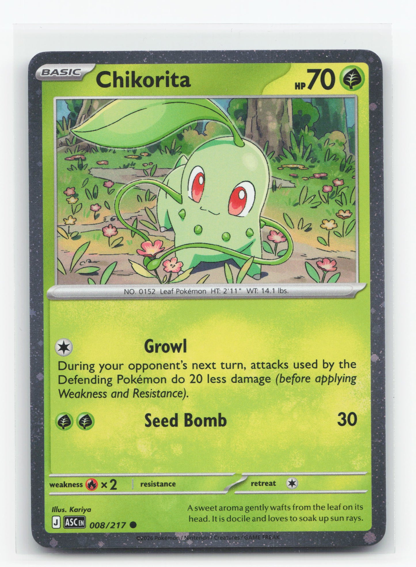 Chikorita 008/217 - Ascended Heroes