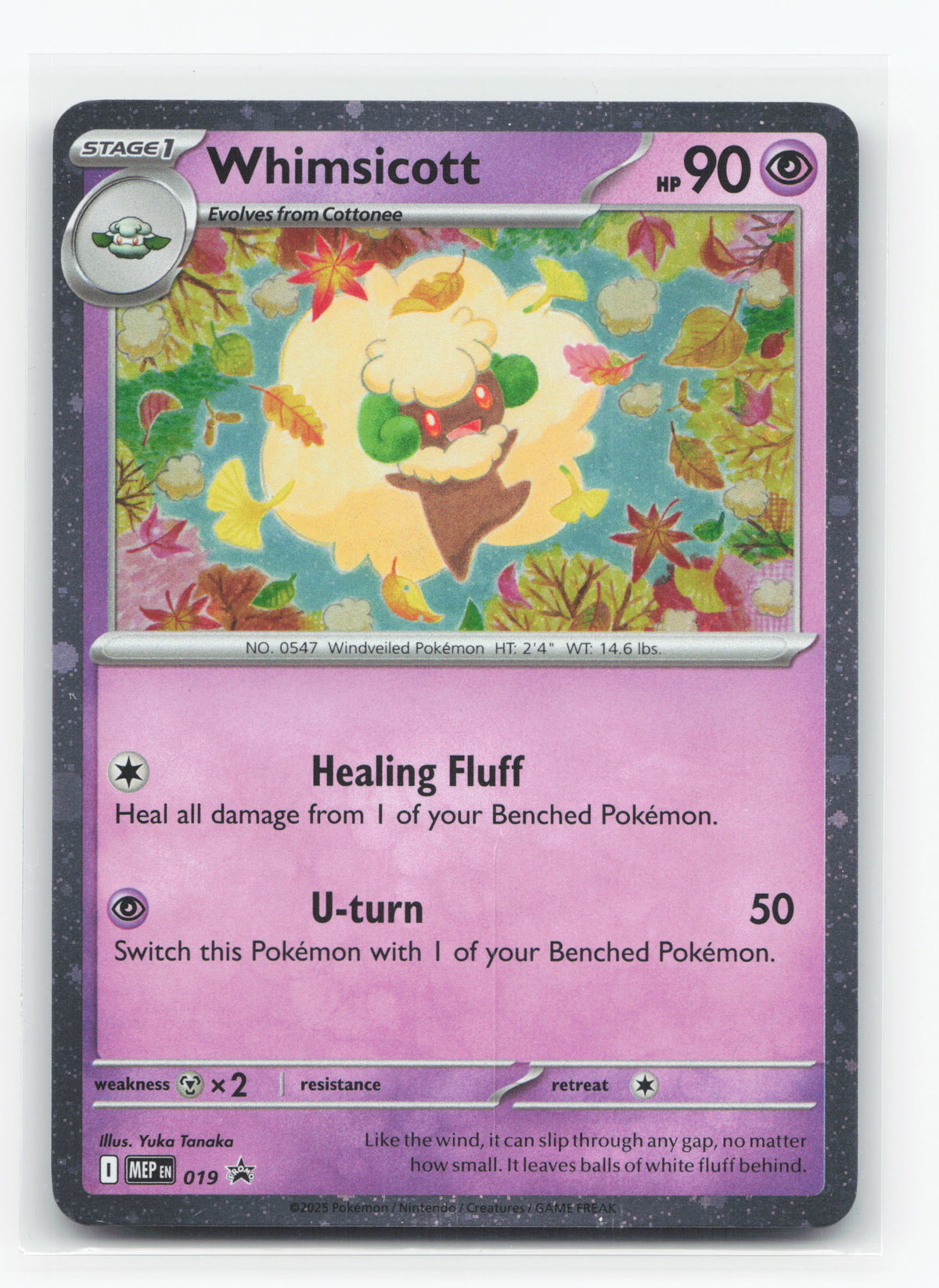 Whimsicott 019 - Mega Evolution Black Star Promos