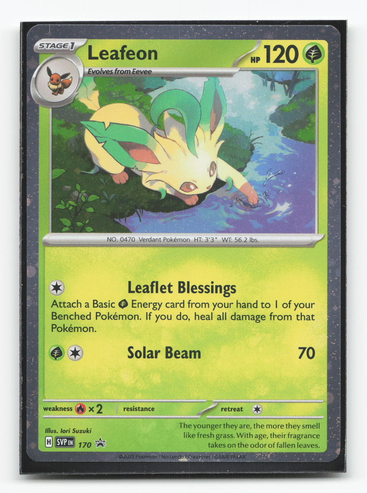 Leafeon 170 - Scarlet & Violet Black Star Promos