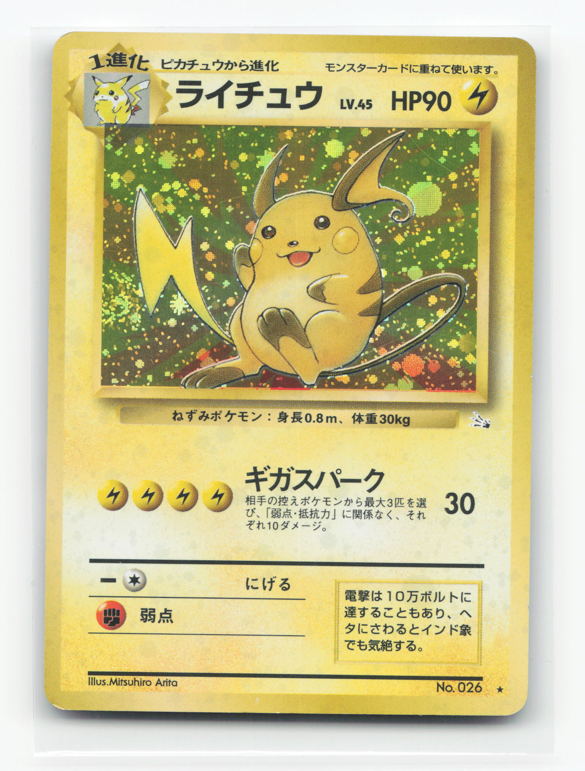 Raichu No.026 - Mystery of the Fossils