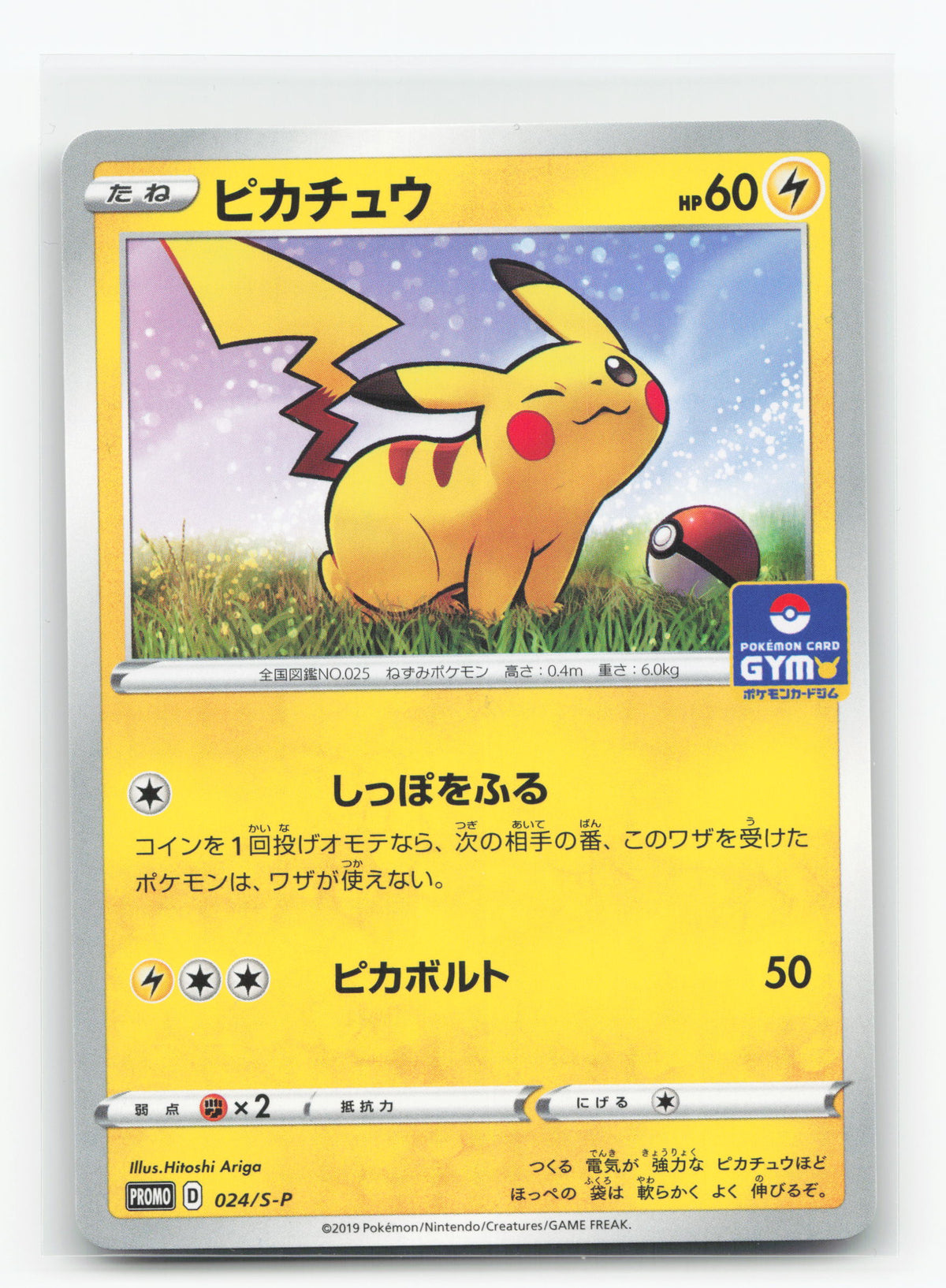 Pikachu 024/S-P - Sword & Shield Promos