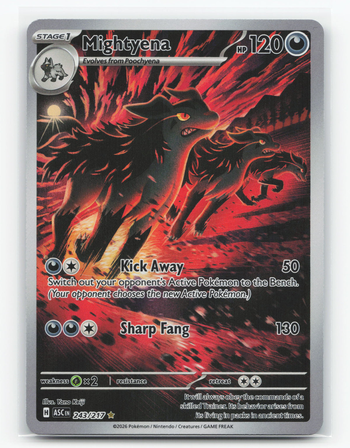Mightyena 243/217 - Ascended Heroes