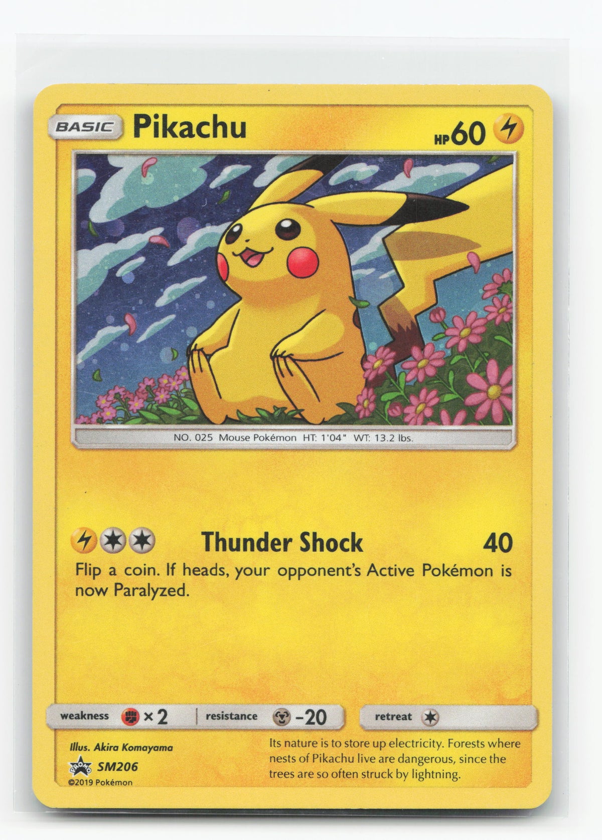 Pikachu SM206 - SM Black Star Promos