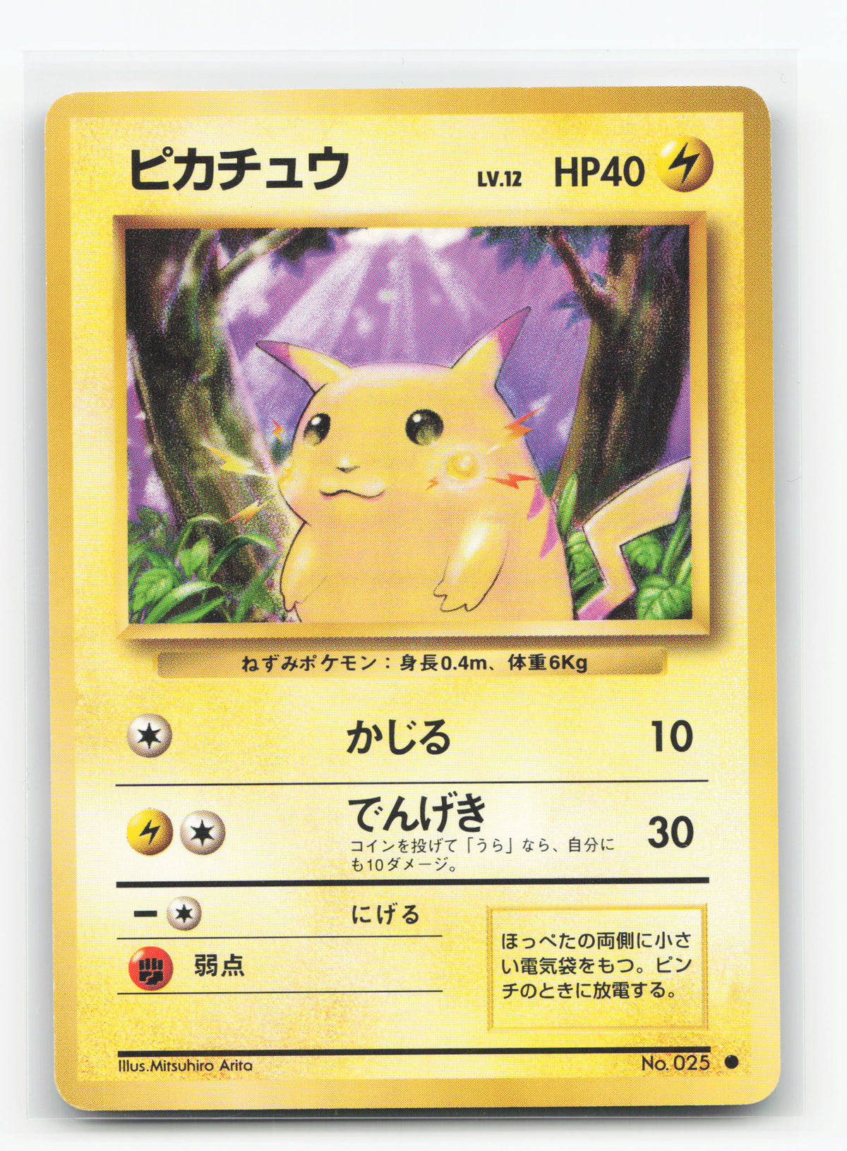 Pikachu No.025 - Expansion Pack