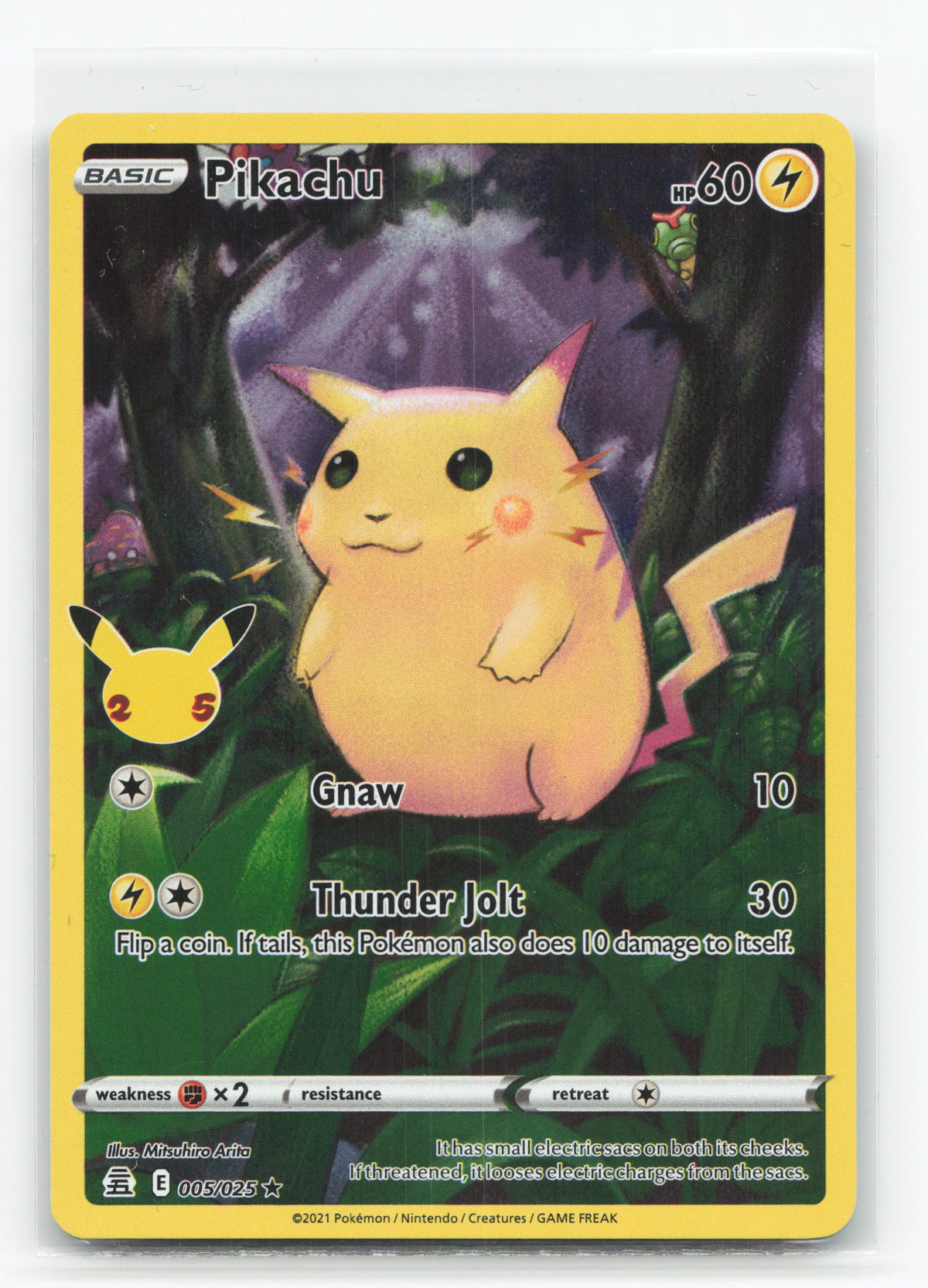 Pikachu 5 - Celebrations
