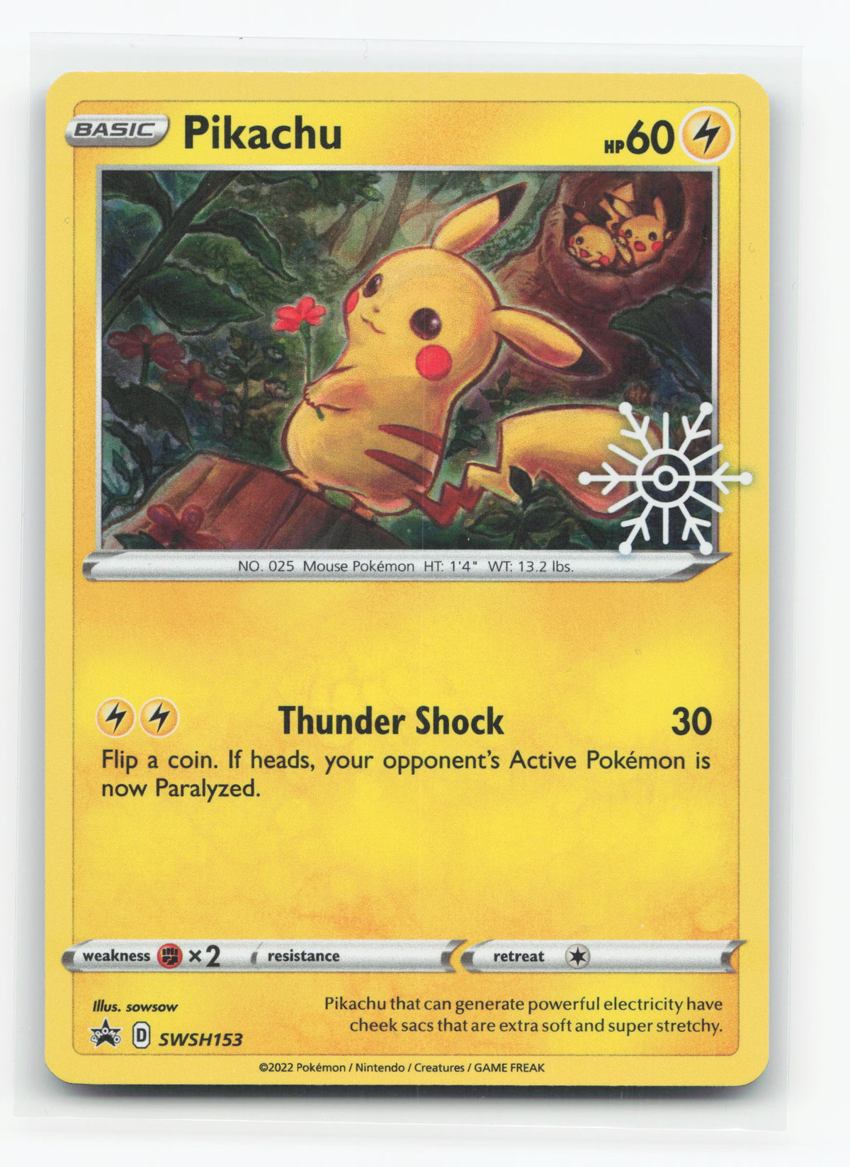 Pikachu SWSH153 - SWSH Black Star Promos