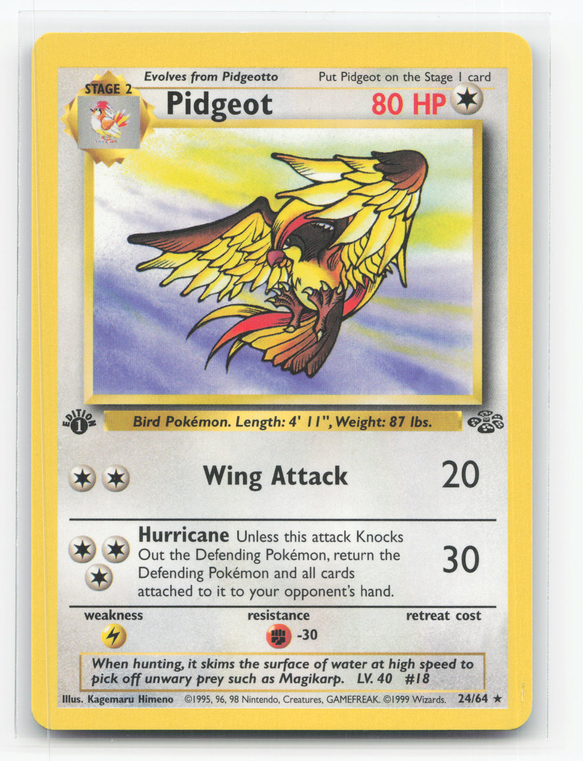 Pidgeot 24/64 - Jungle