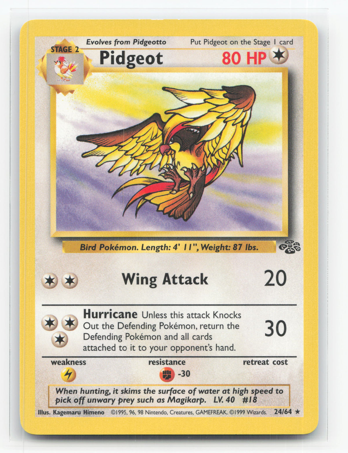 Pidgeot 24/64 - Jungle