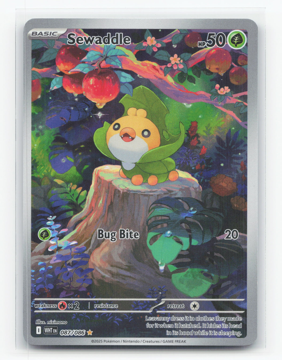 Sewaddle 087/086 - White Flare