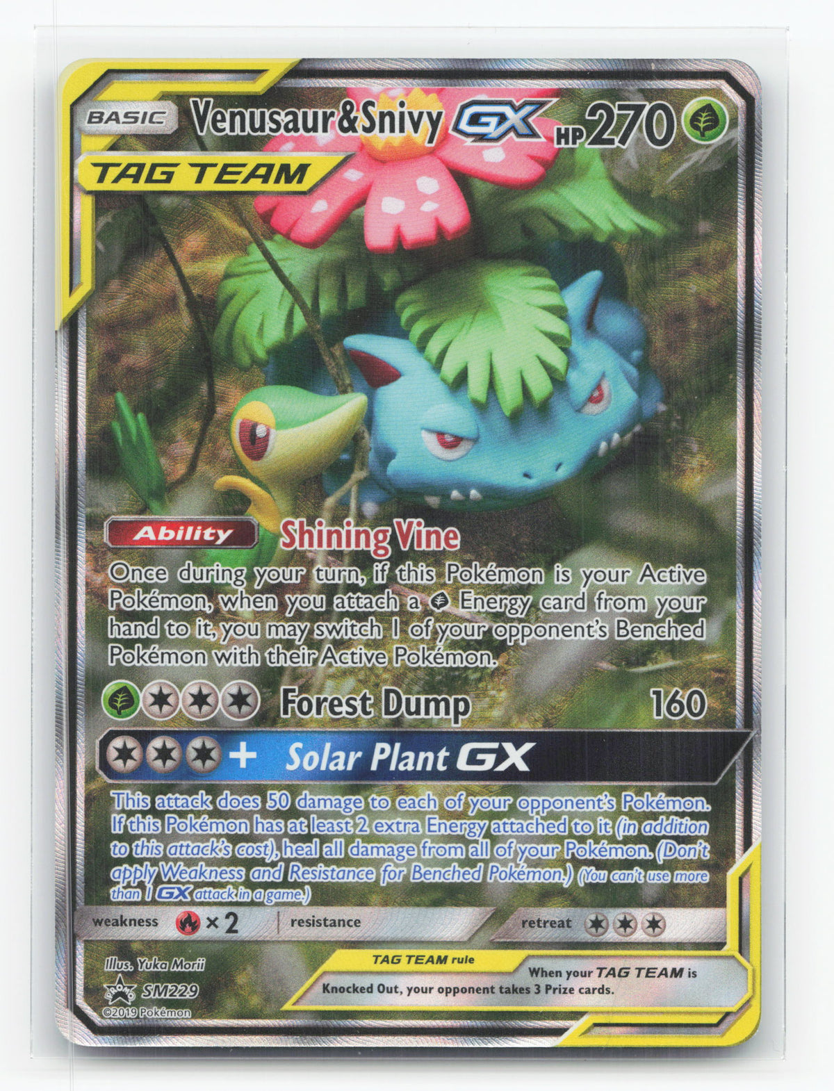 Venusaur & Snivy-GX SM229 - SM Black Star Promos