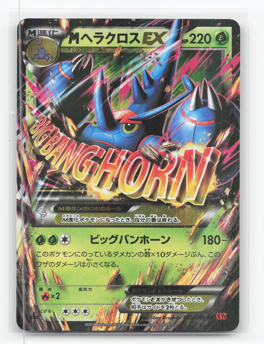 M Heracross-EX 005/096 1st Edition Holo - Rising Fist