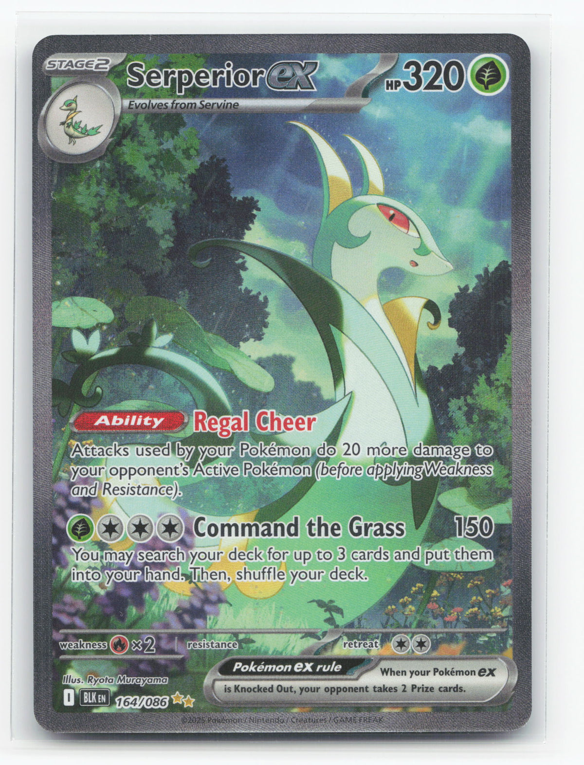 Serperior ex 164/086 - Black Bolt