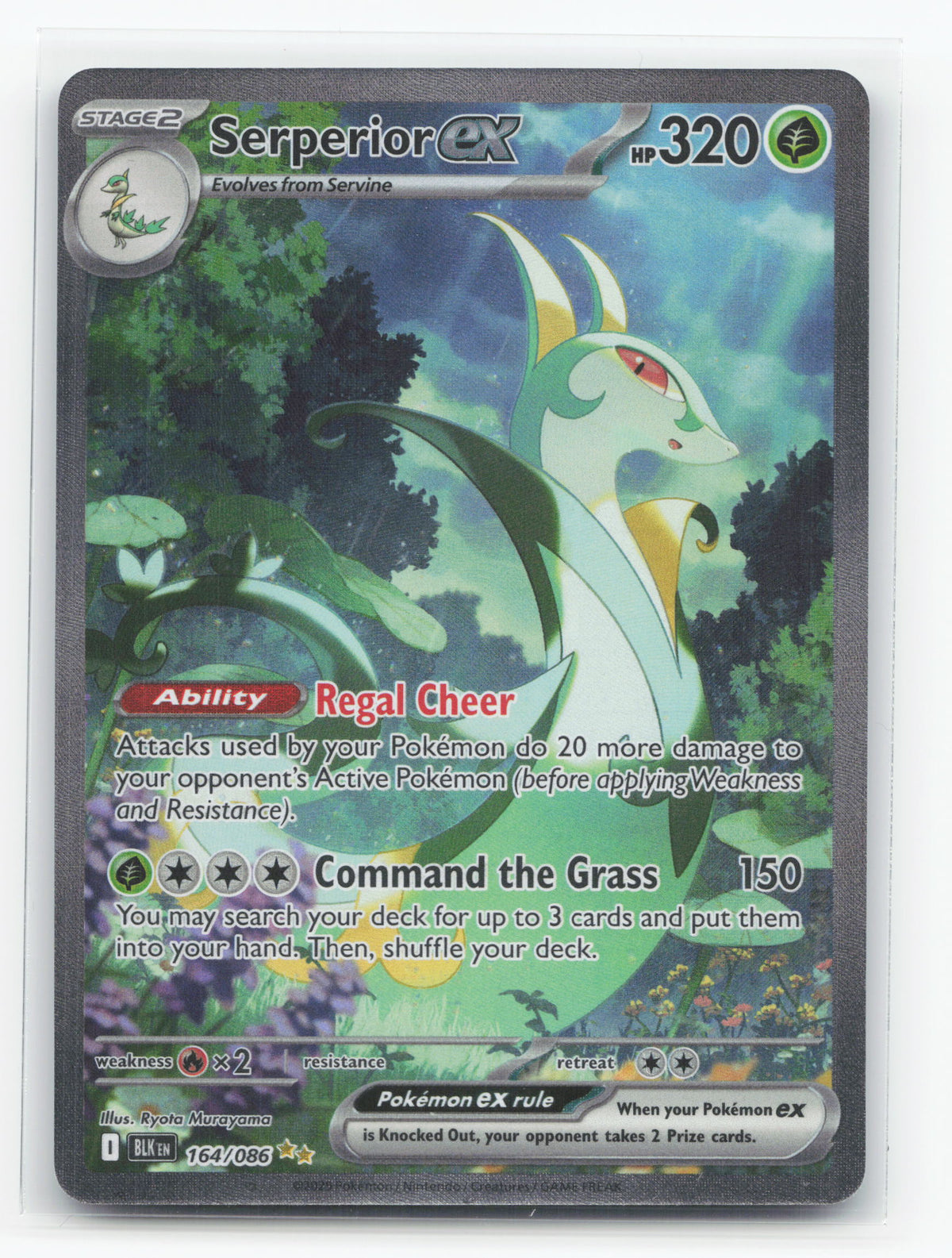 Serperior ex 164/086 - Black Bolt