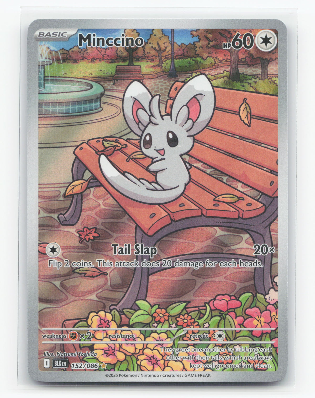 Minccino 152/086 - Black Bolt
