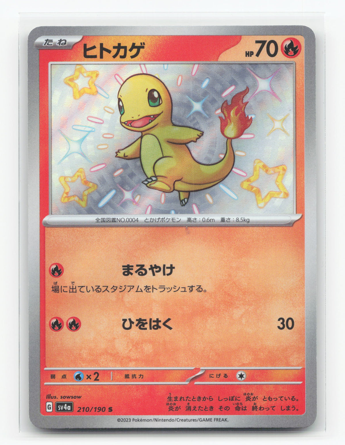 Charmander 210/190 - Shiny Treasure ex
