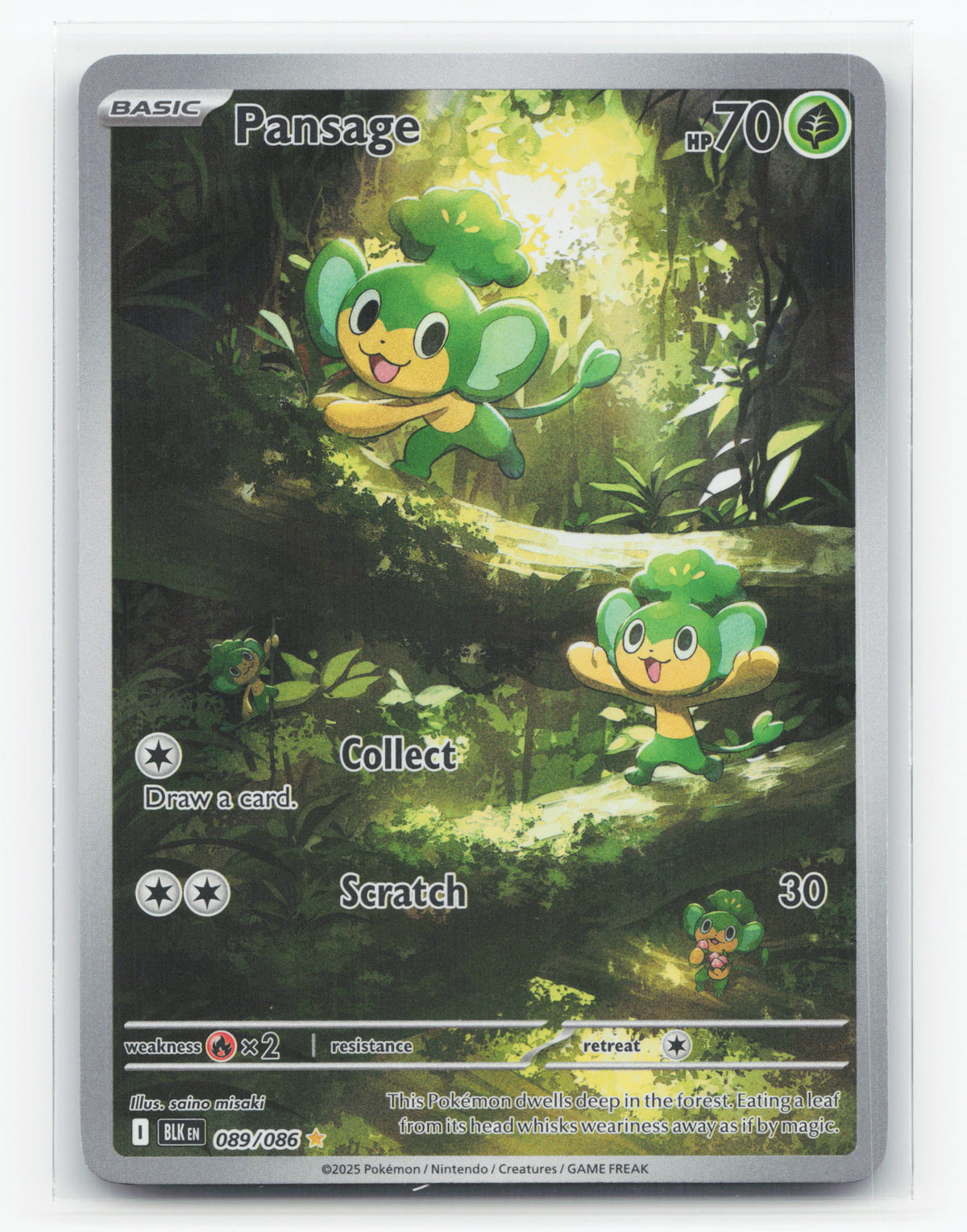 Pansage 089/086 - Black Bolt