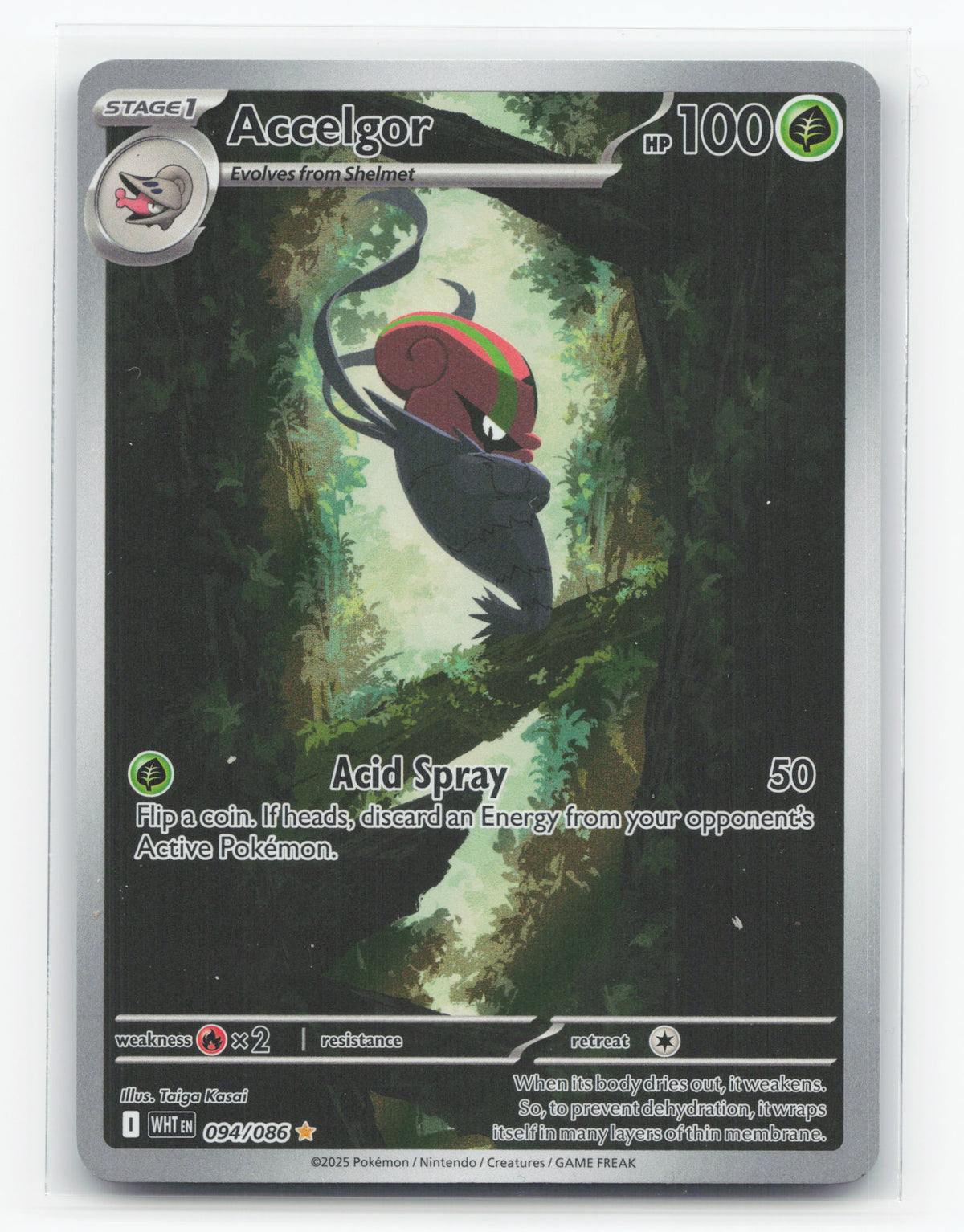 Accelgor 094/086 - White Flare