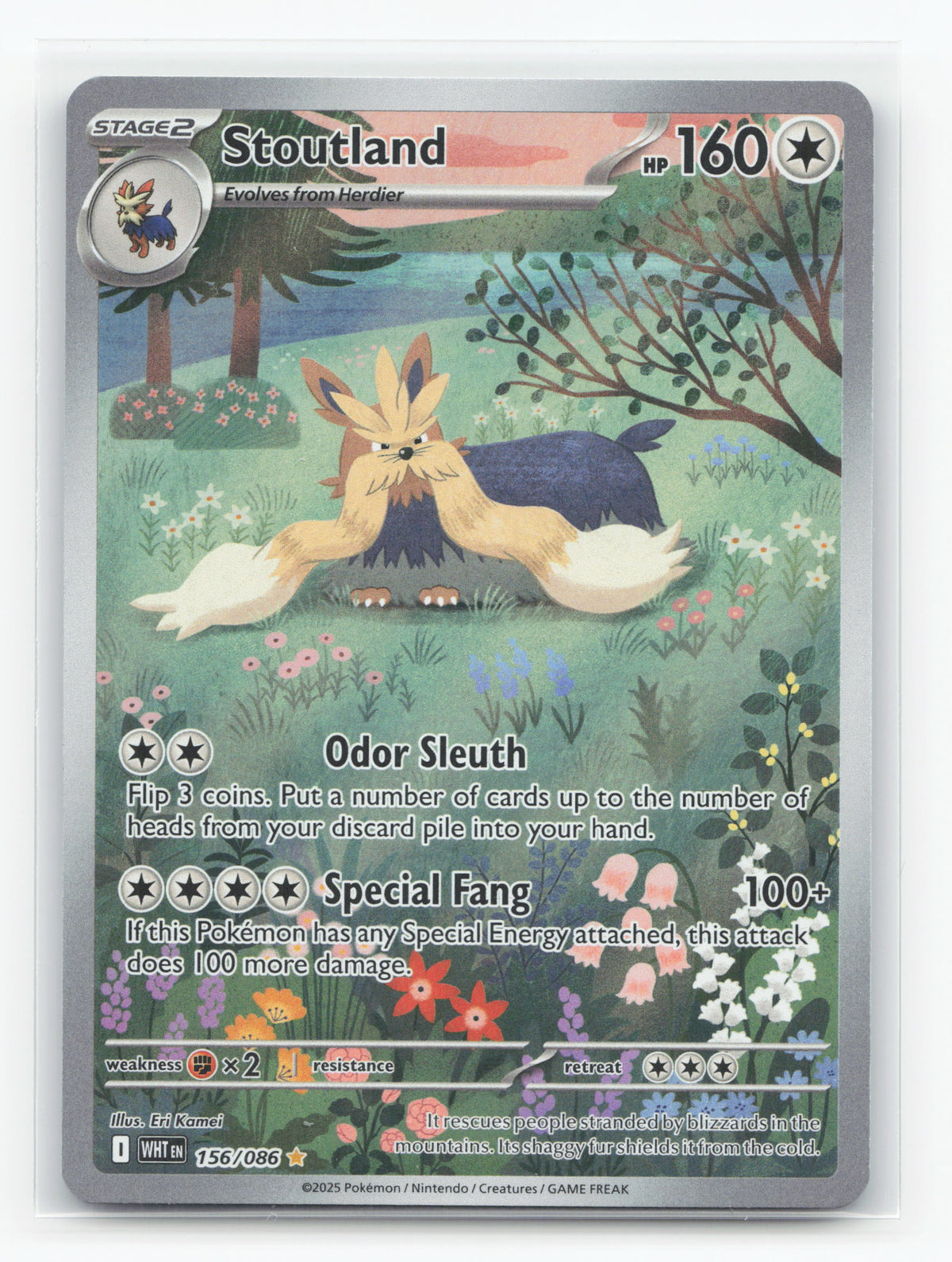 Stoutland 156/086 - White Flare