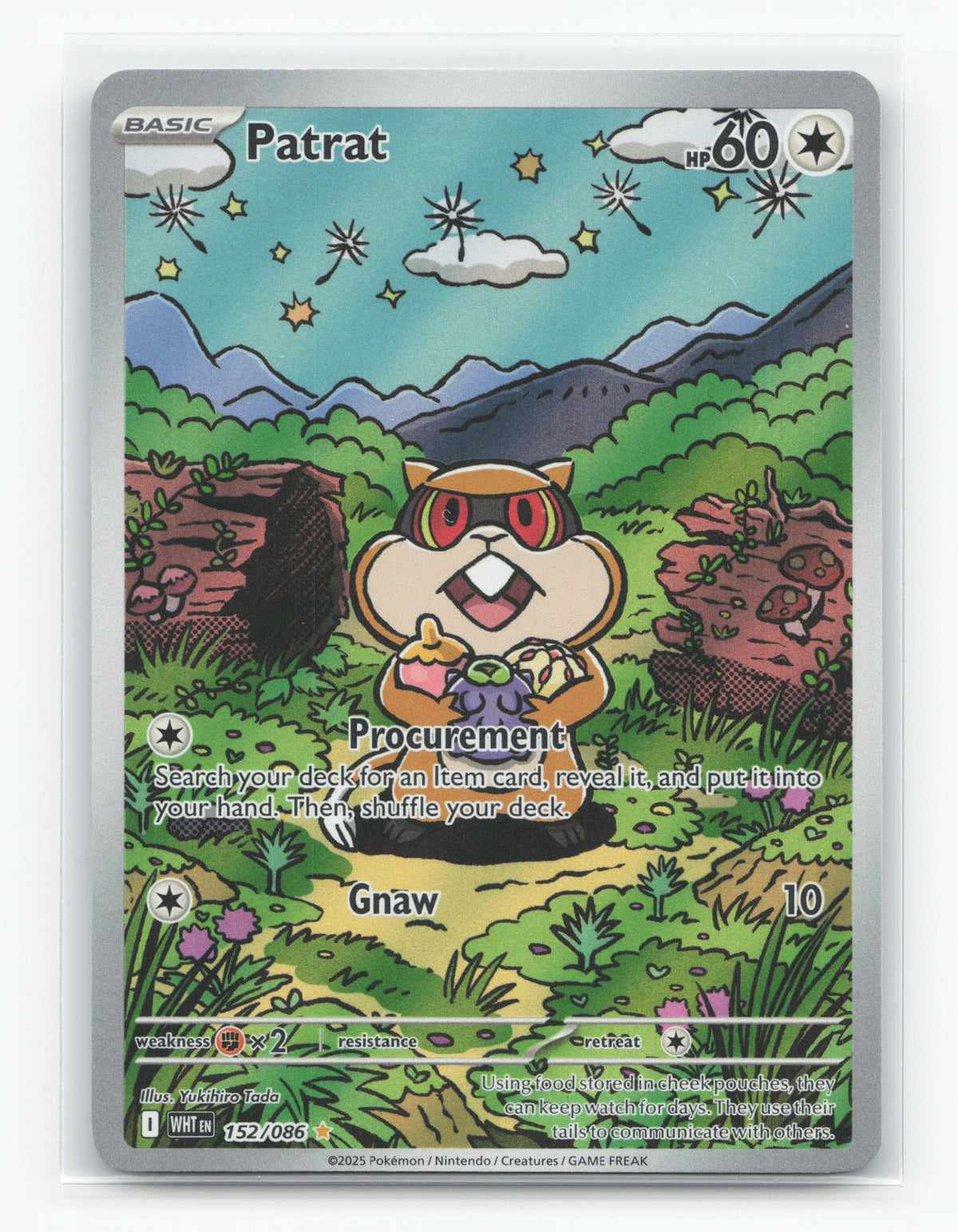 Patrat 152/086 - White Flare