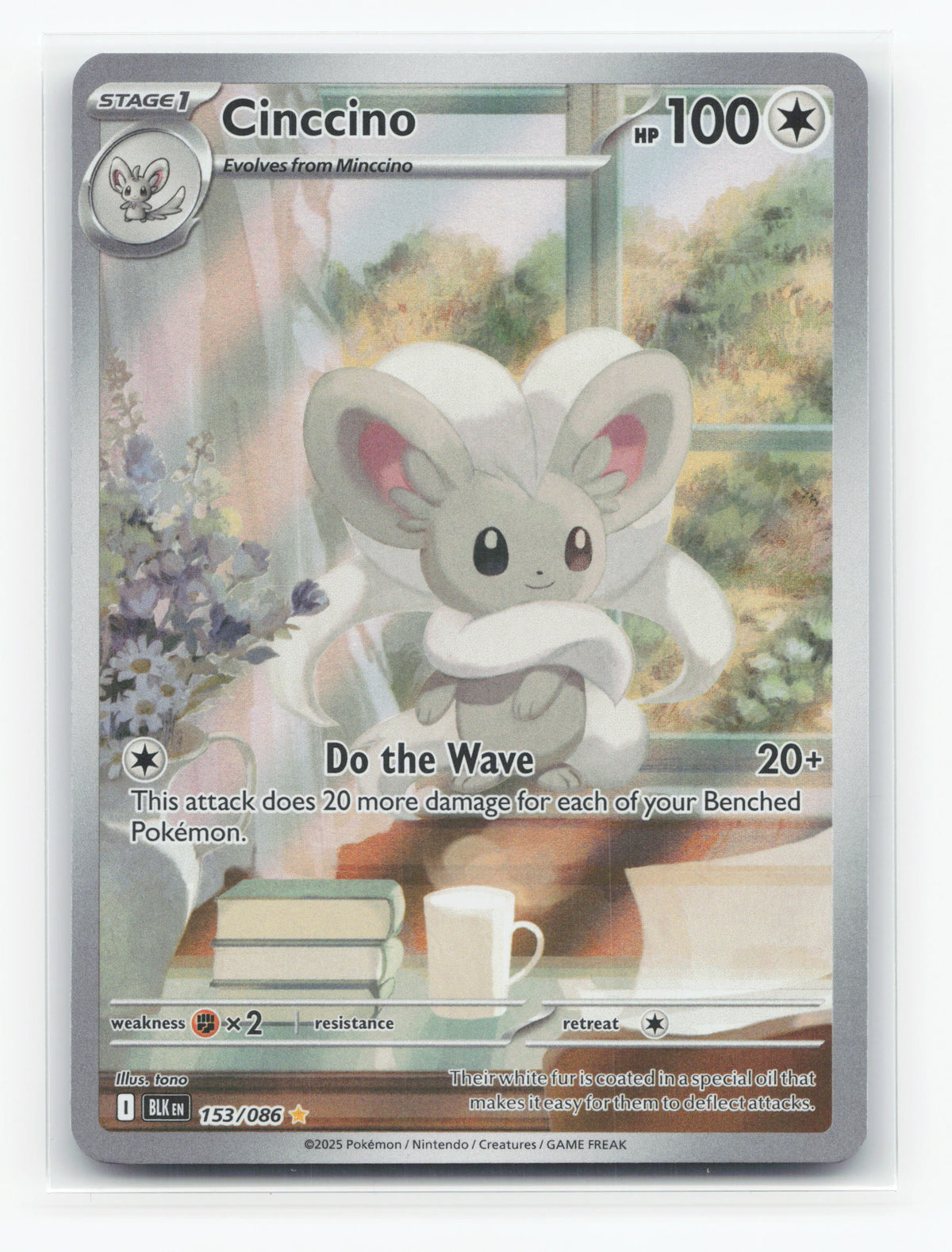 Cinccino 153/086 - Black Bolt