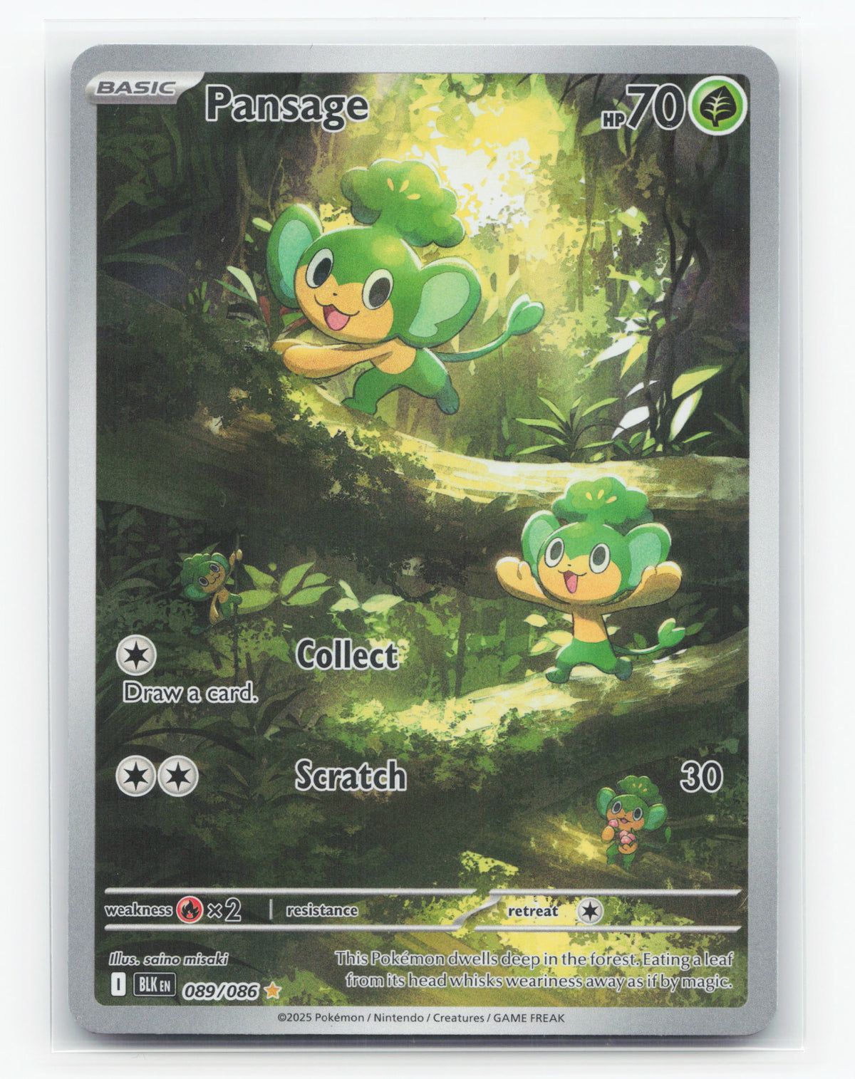 Pansage 089/086 - Black Bolt