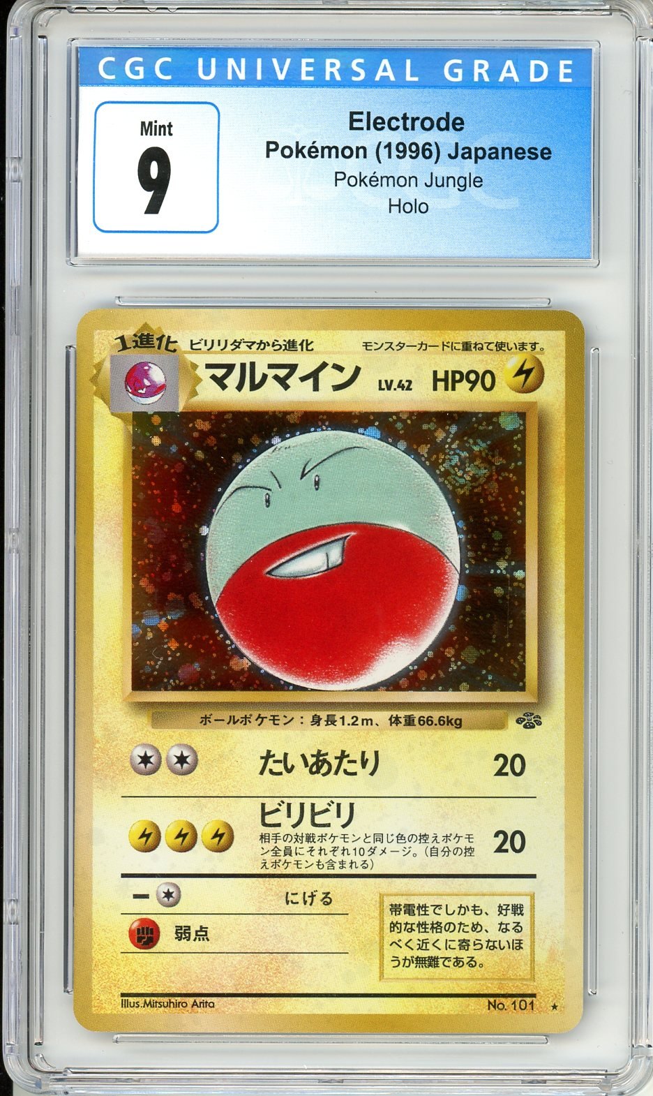 CGC 9 Electrode No.101 - Jungle