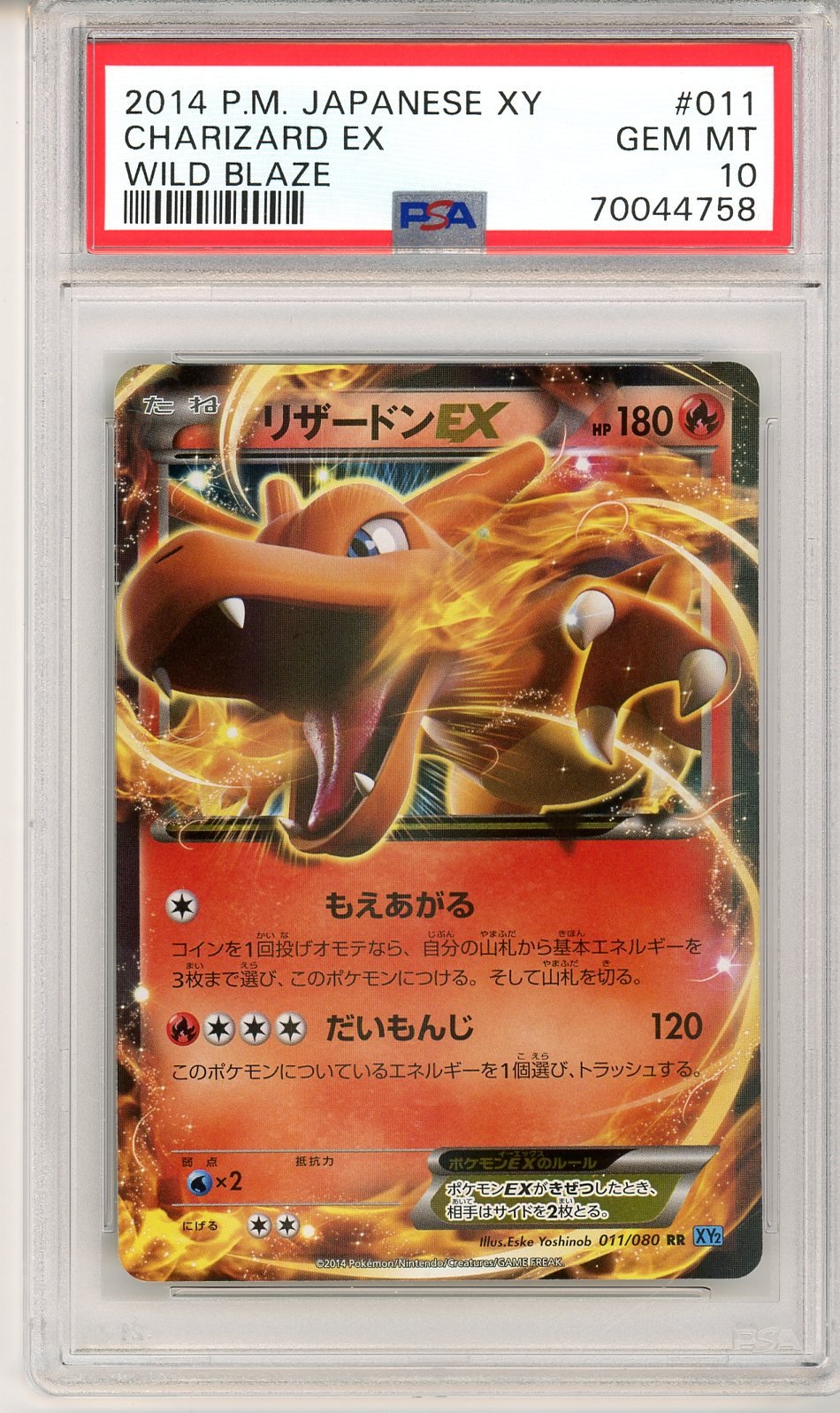 PSA 10 Charizard-EX 011/080 - Wild Blaze