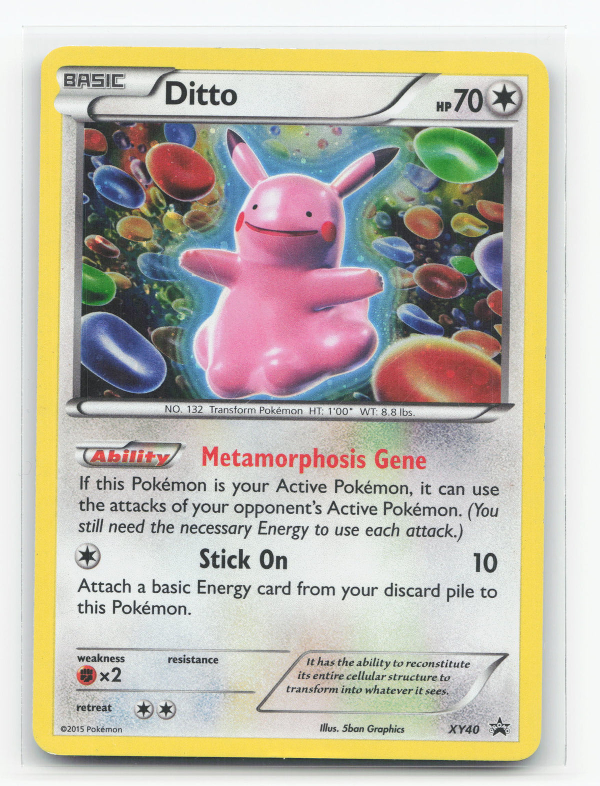 Ditto XY40 - XY Black Star Promos