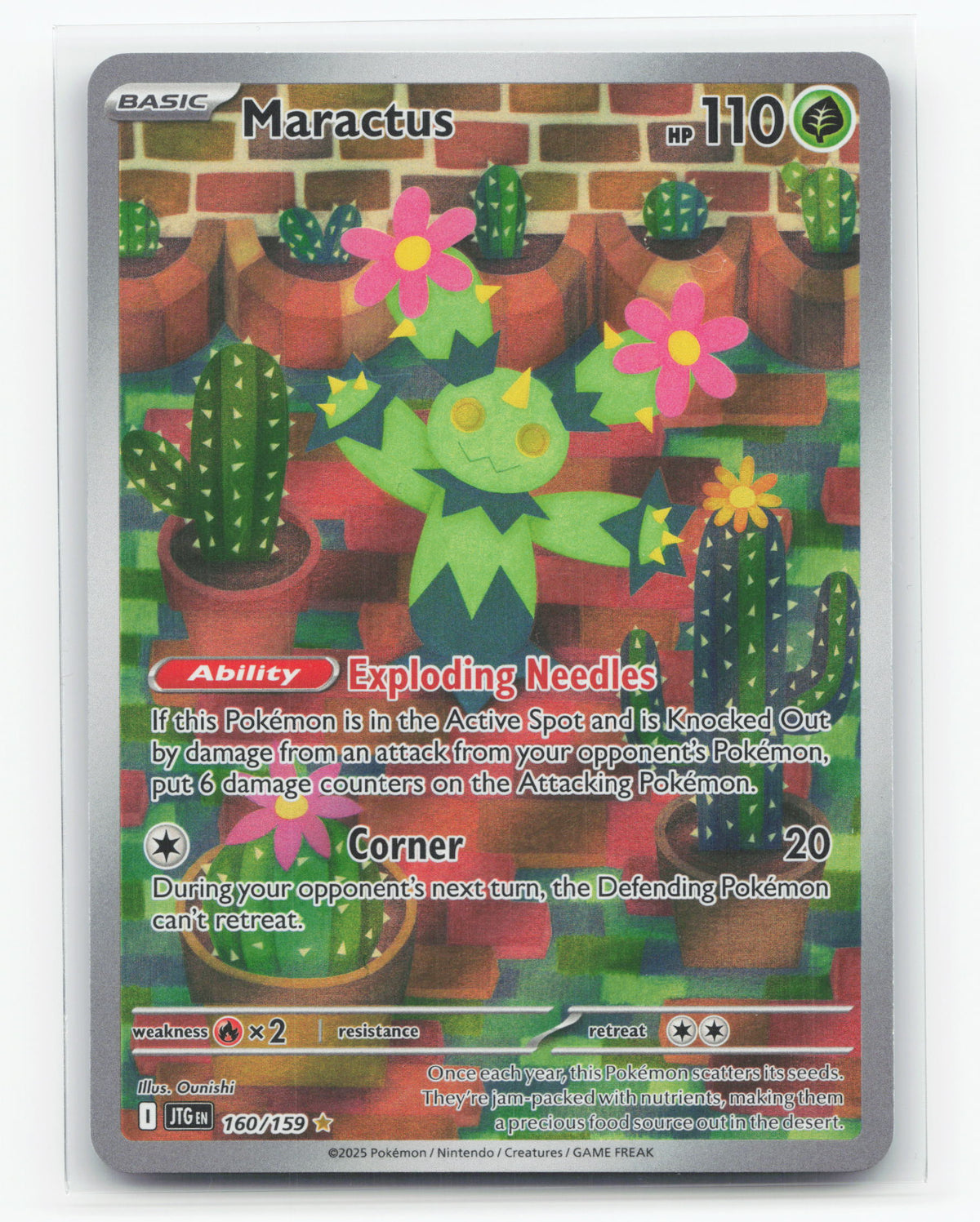 Maractus 160/159 - Journey Together