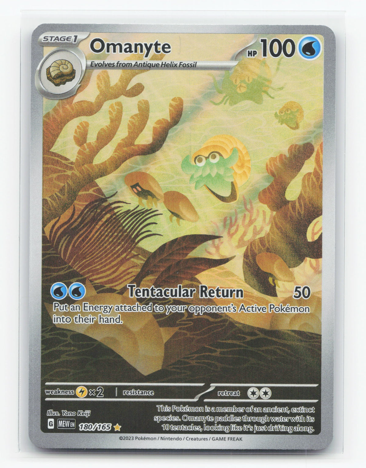 Omanyte 180/165 - 151