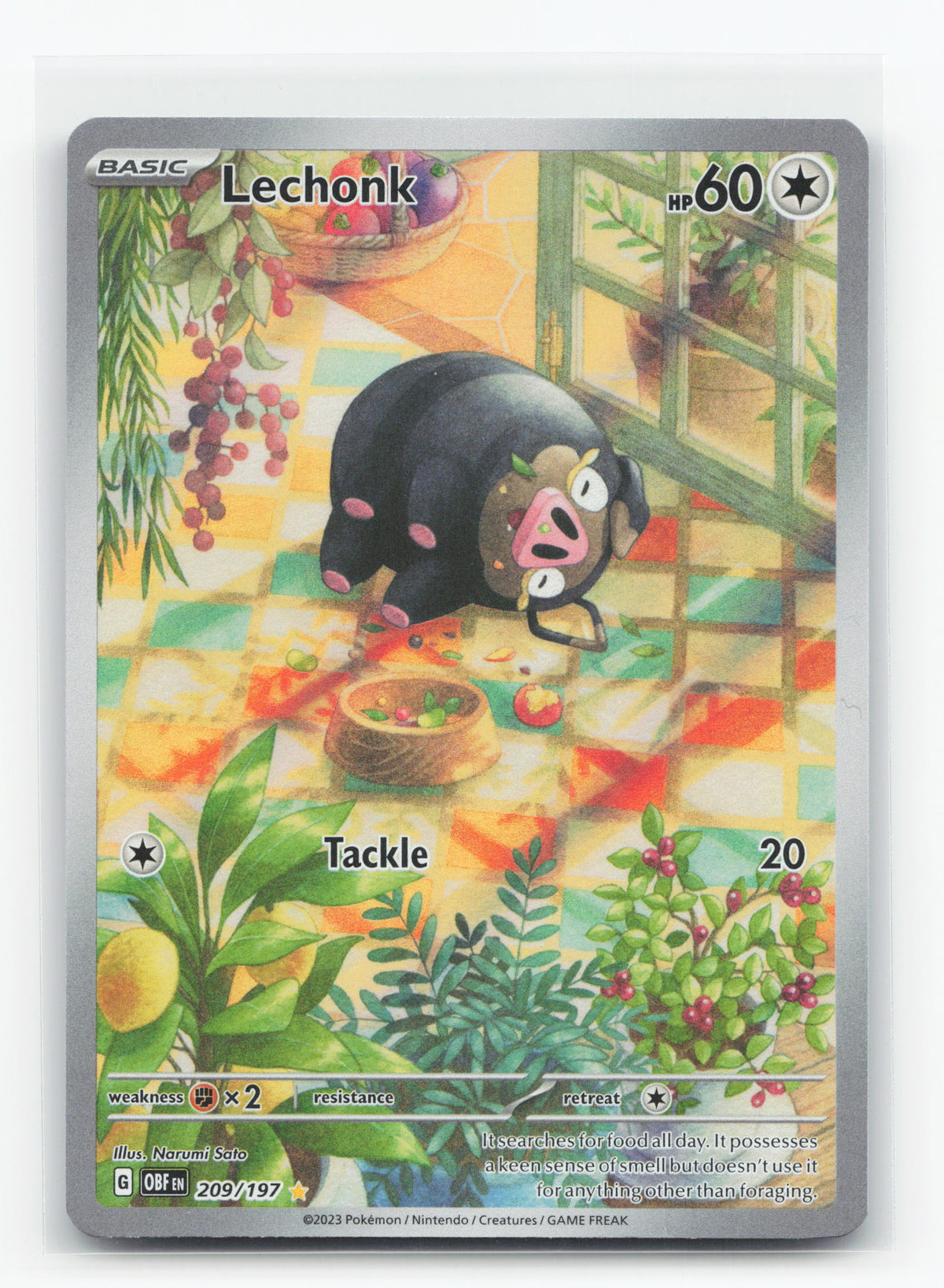 Lechonk 209/197 - Obsidian Flames
