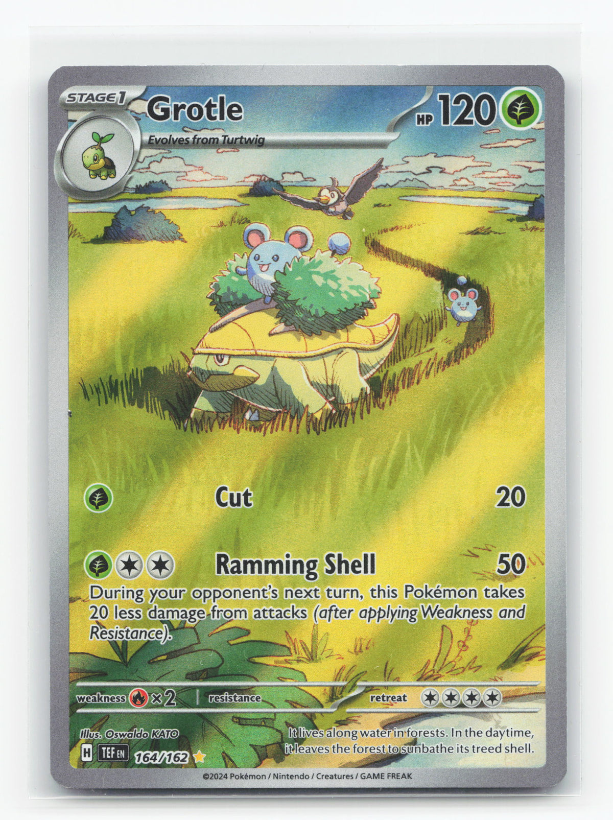 Grotle 164/162 - Temporal Forces