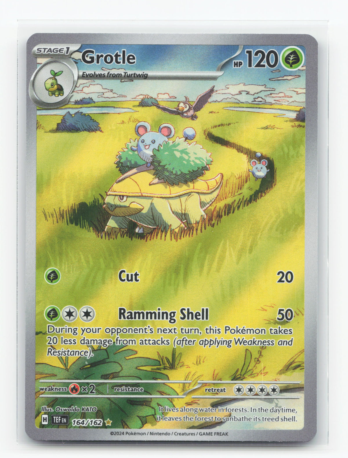 Grotle 164/162 - Temporal Forces