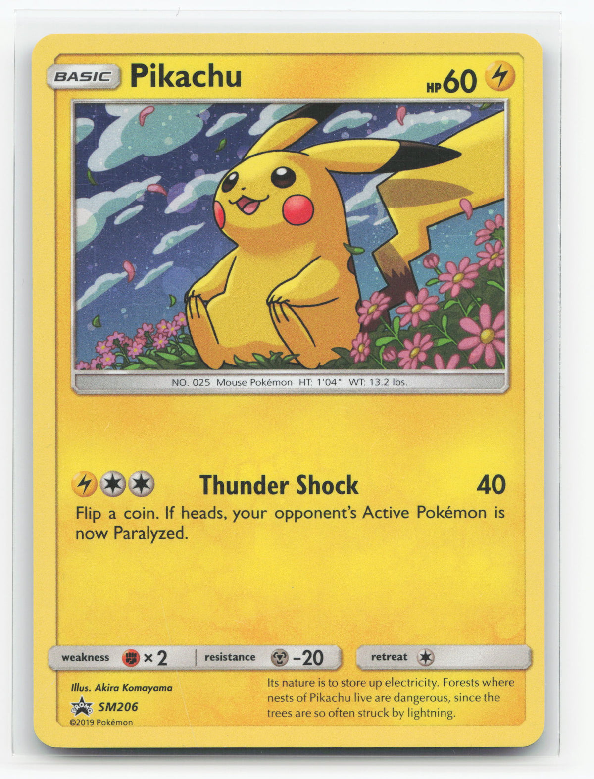 Pikachu SM206 - SM Black Star Promos