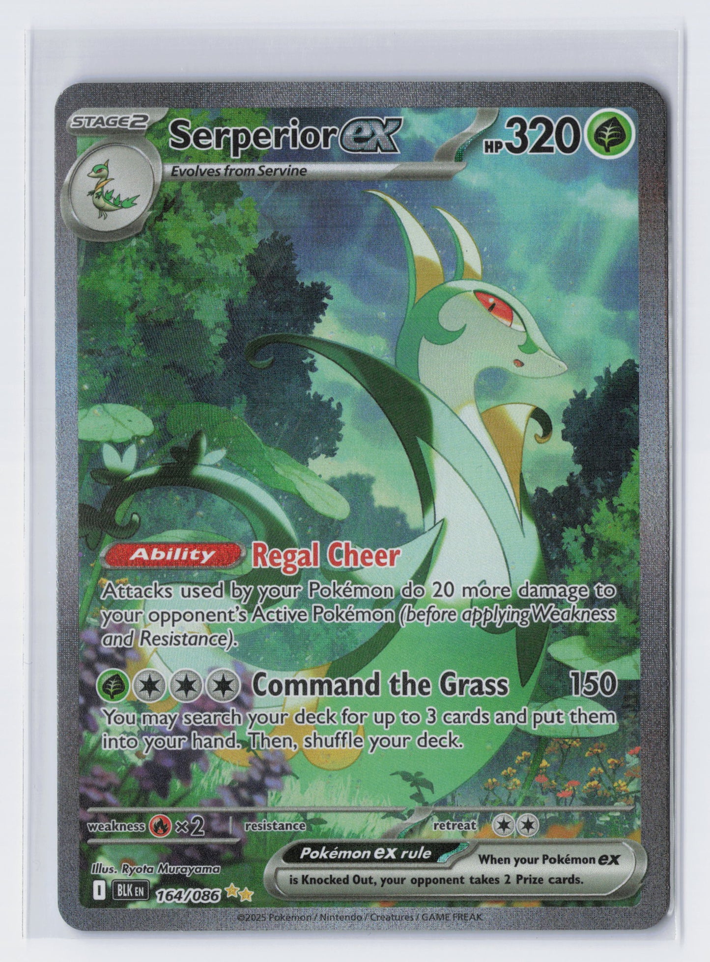 Serperior ex - #164/086 - Pokémon Scarlet & Violet - Black Bolt