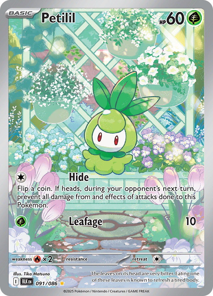Petilil - #091/086 - Pokémon Scarlet & Violet - Black Bolt