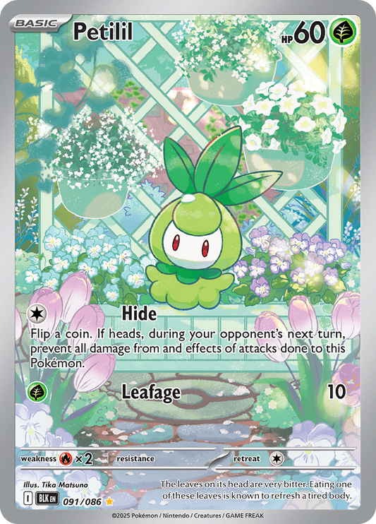Petilil - #091/086 - Pokémon Scarlet & Violet - Black Bolt