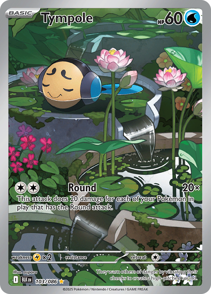 Tympole - #103/086 - Pokémon Scarlet & Violet - Black Bolt