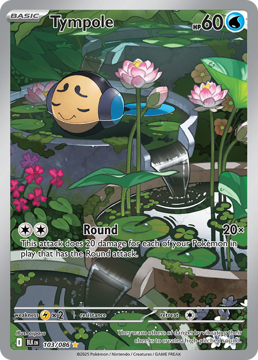 Tympole - #103/086 - Pokémon Scarlet & Violet - Black Bolt
