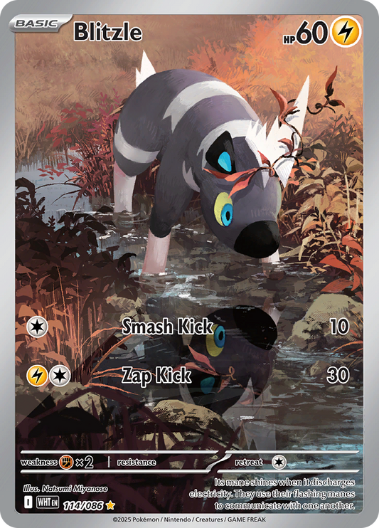Blitzle - #114/086 - Pokémon Scarlet & Violet - White Flare