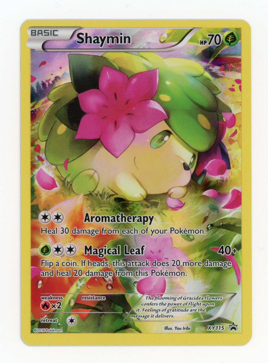 Shaymin - #XYP115 - Pokémon X & Y - Promo